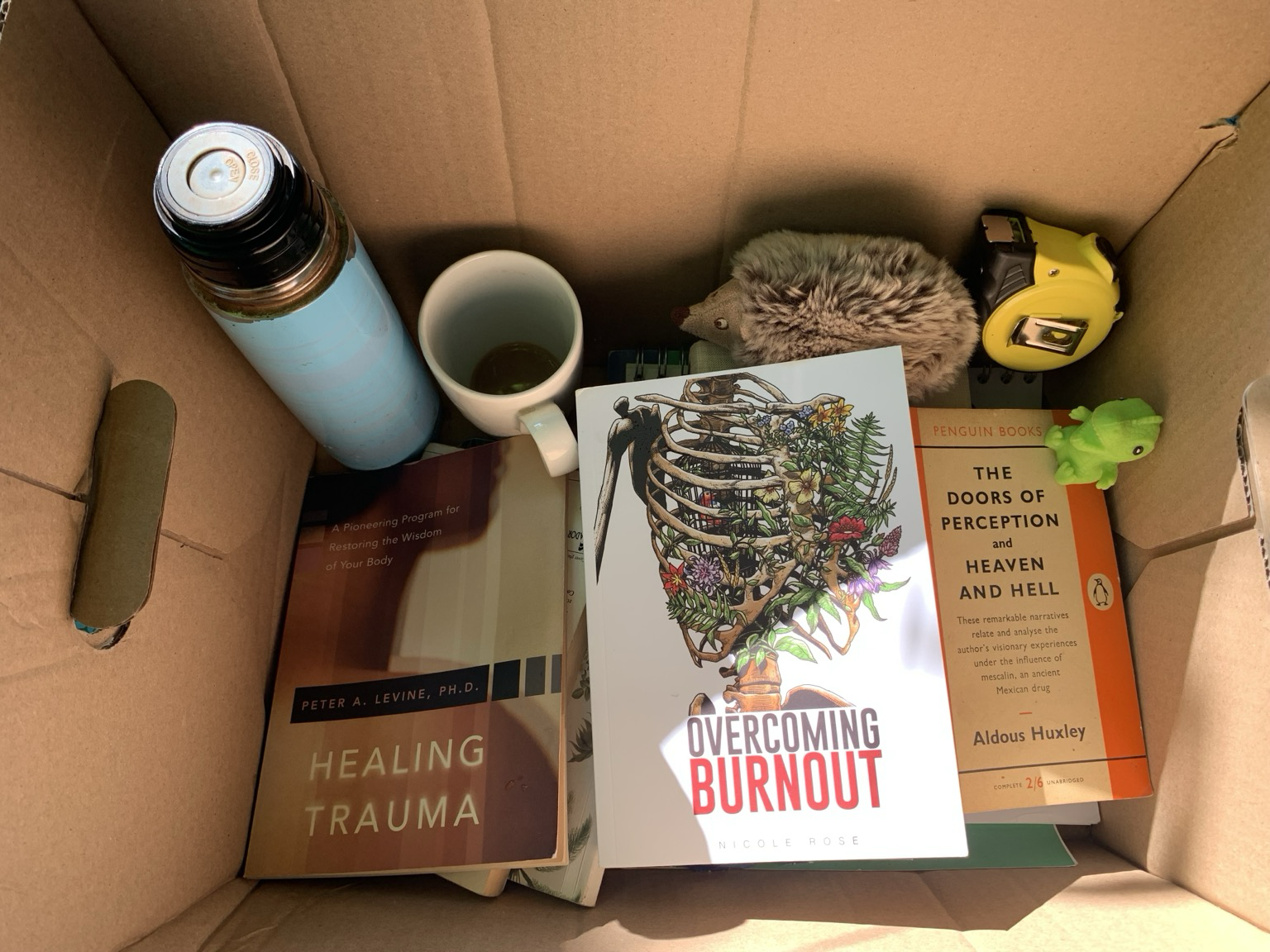 Box with 3 books, thermos , plushie, measure tape, Dino stress toy