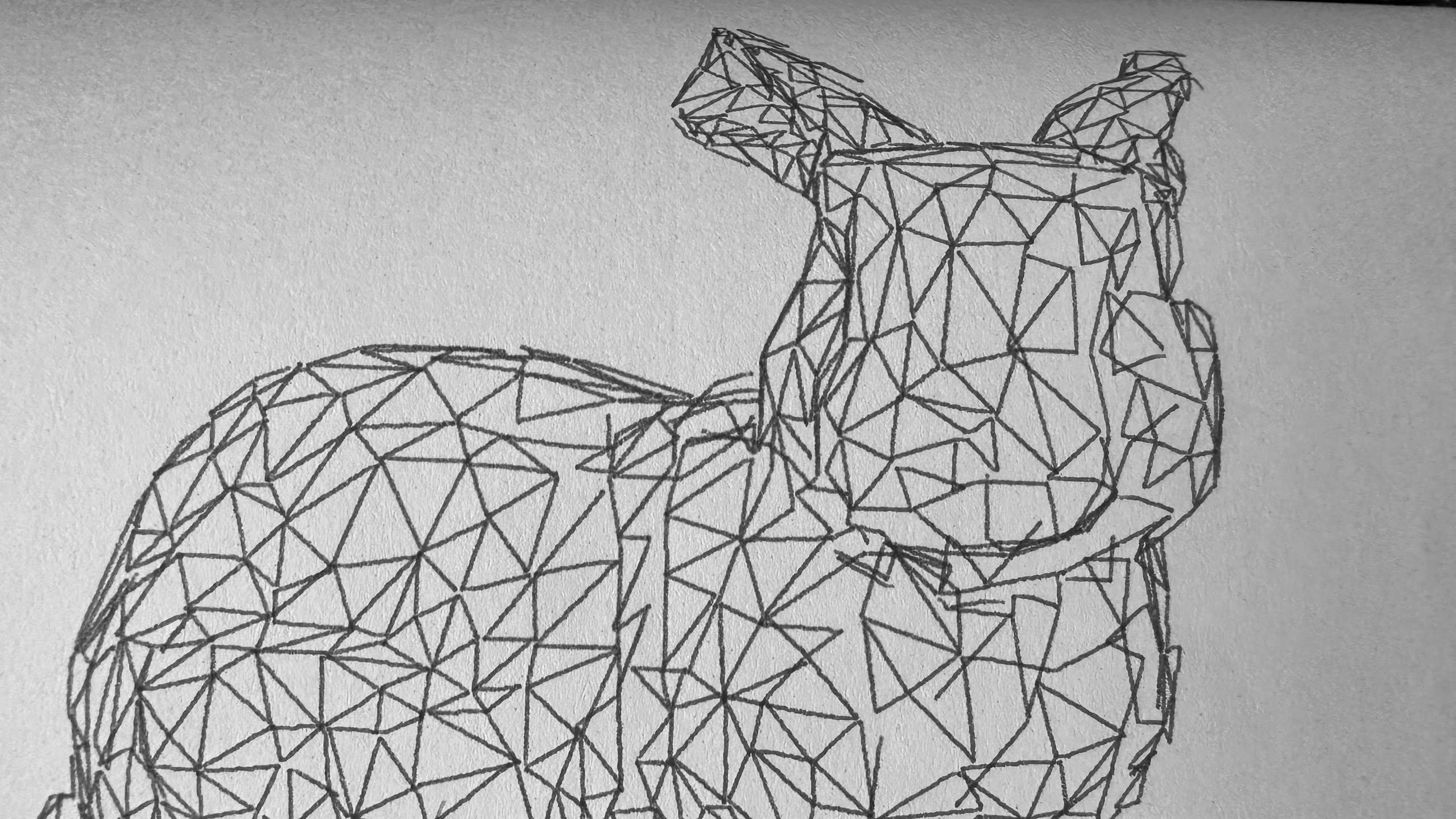 wireframe bunny where the triangles don't line up with each other very well